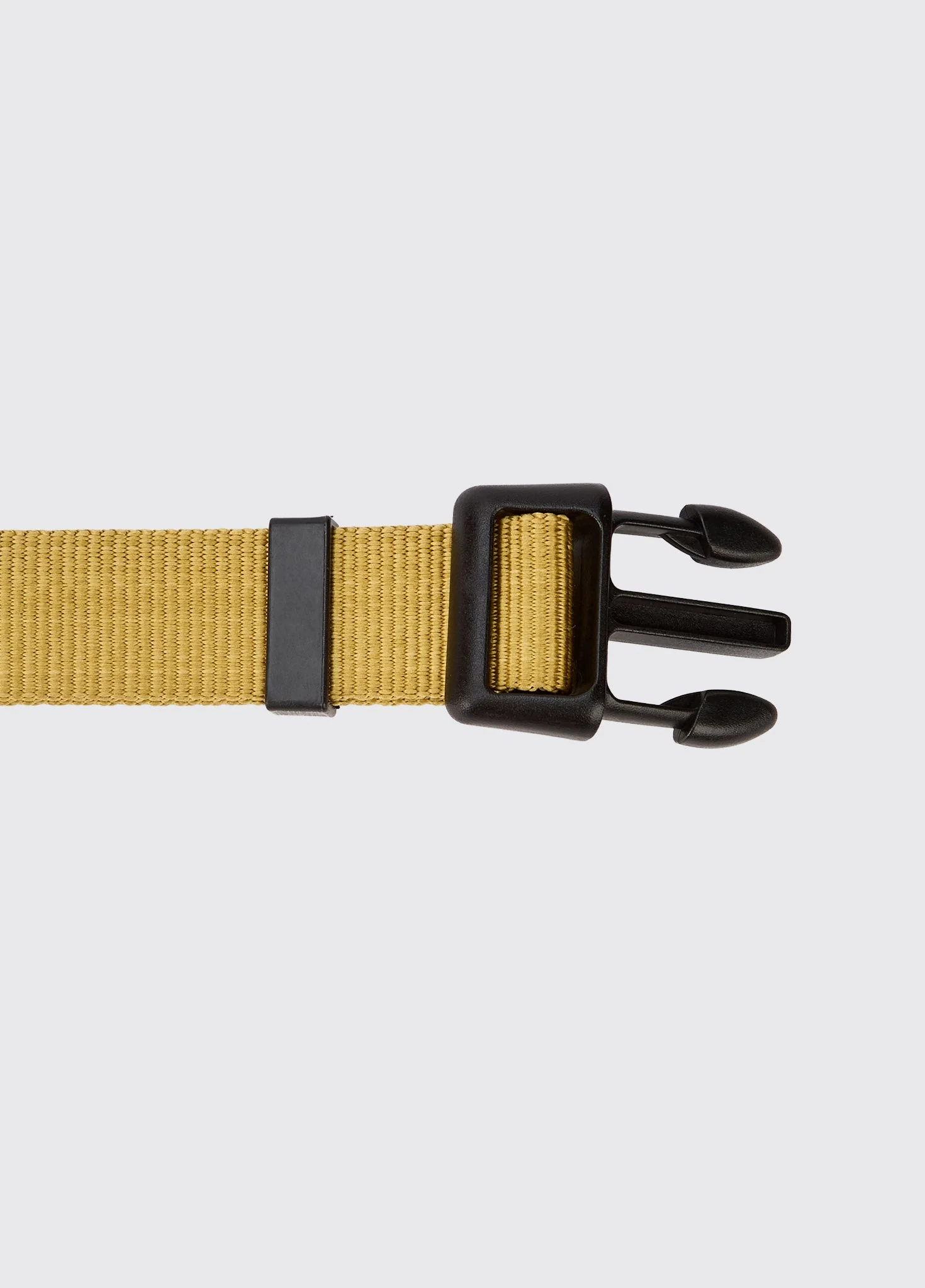 Apollo Nylon collar for dogs - Gold - Image 2