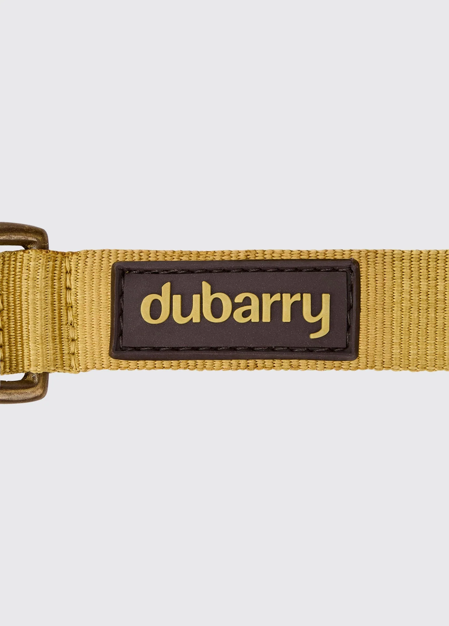 Apollo Nylon collar for dogs - Gold - Image 3
