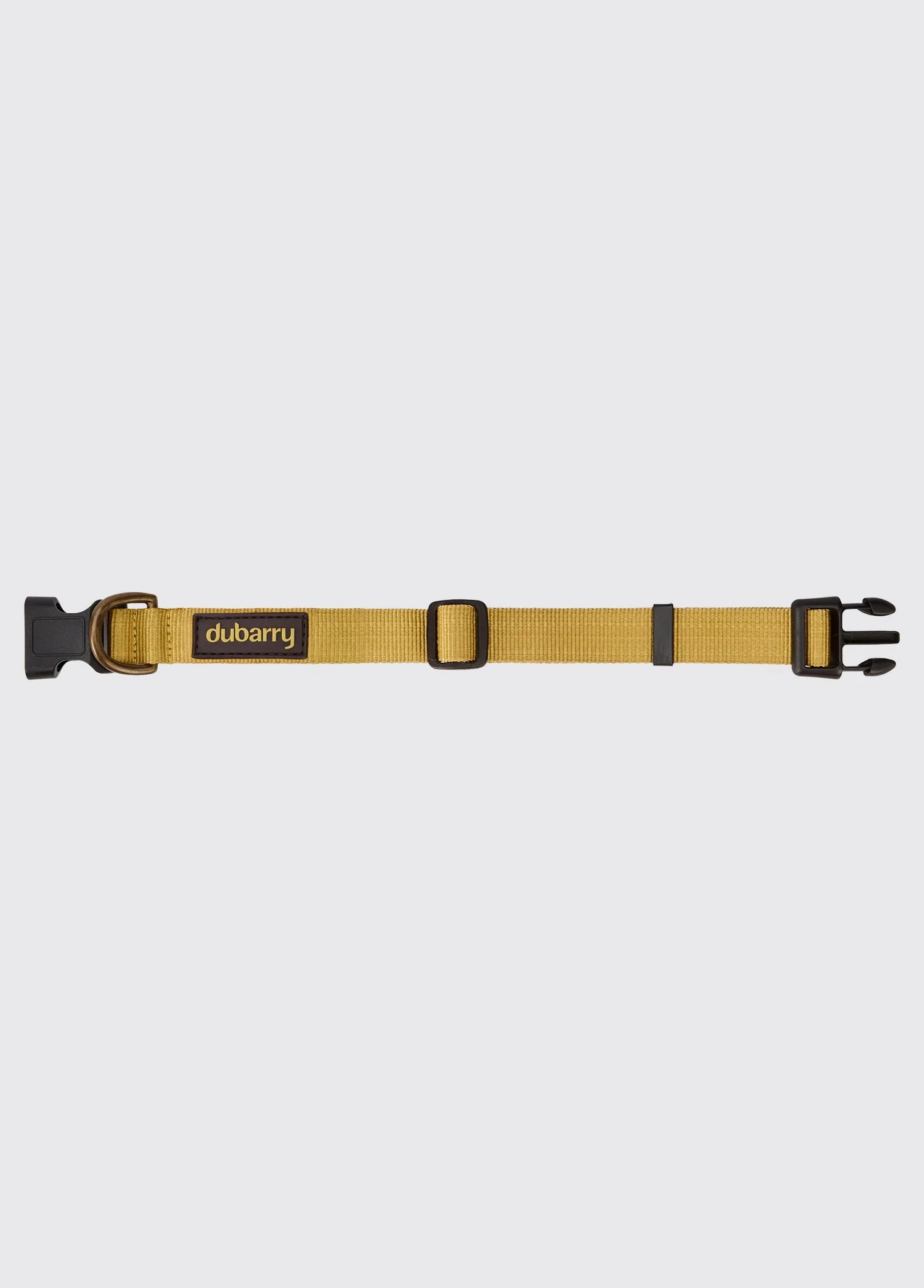 Apollo Nylon collar for dogs - Gold - Image 4