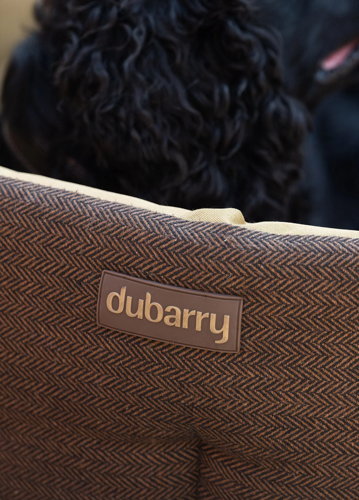 Buster Tweed dog bed - Mocha - Image 8