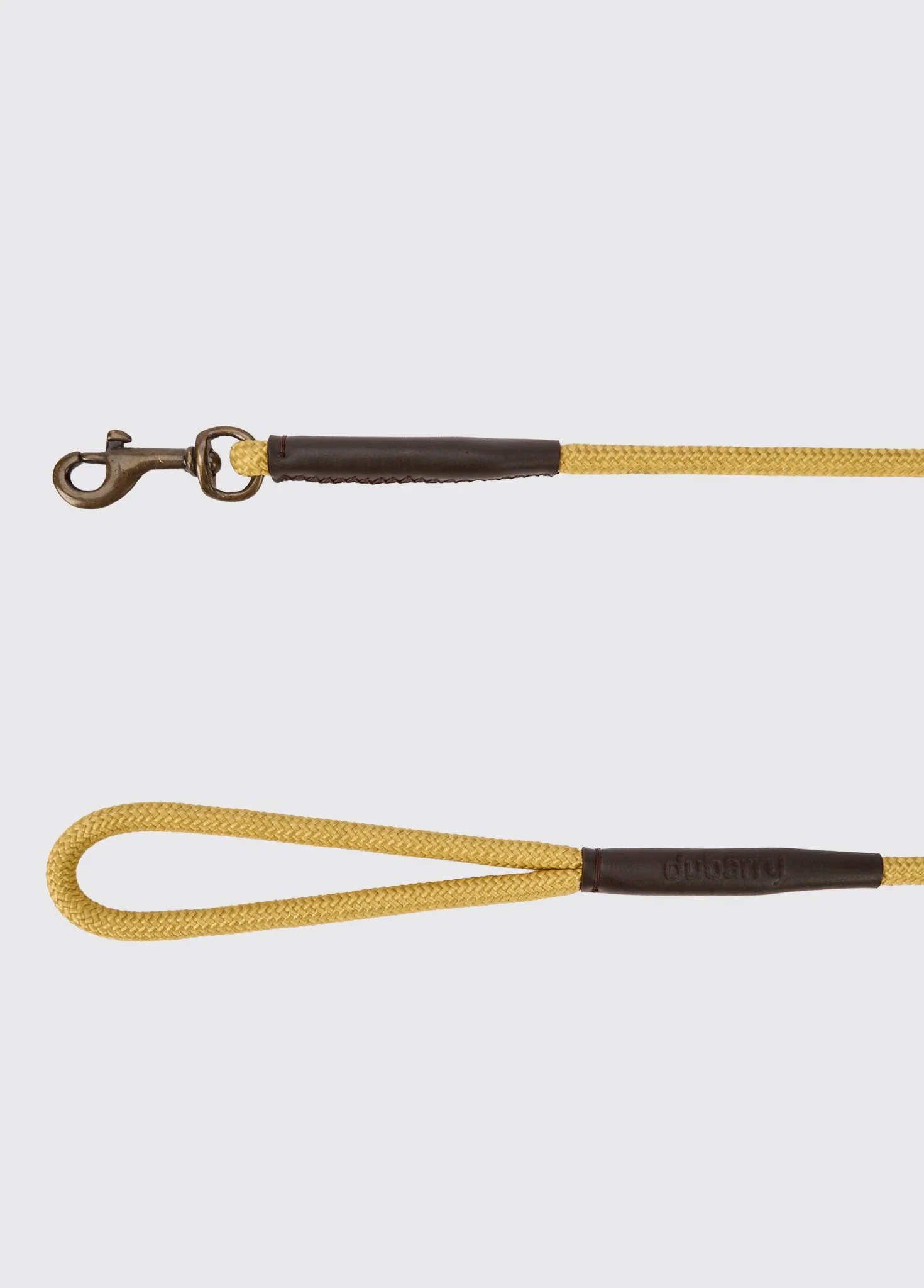 Charlie 4ft (appx) Nylon Rope dog lead - Gold - Image 2