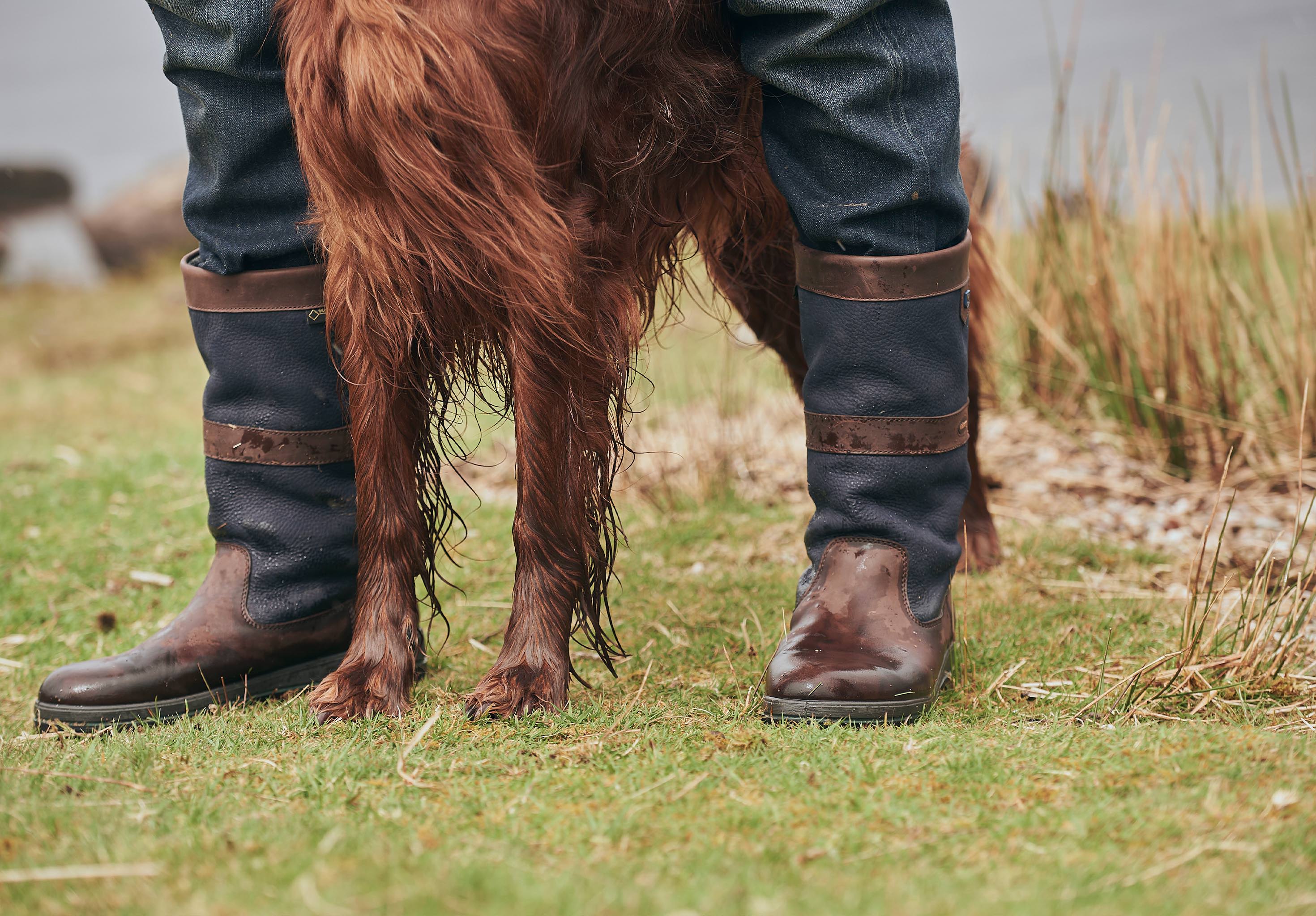 Kildare Mens Country Boot - Navy/Brown - Image 3
